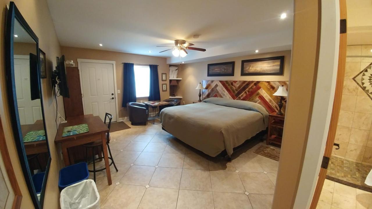 Lionheart B&B Lion's Head Esterno foto